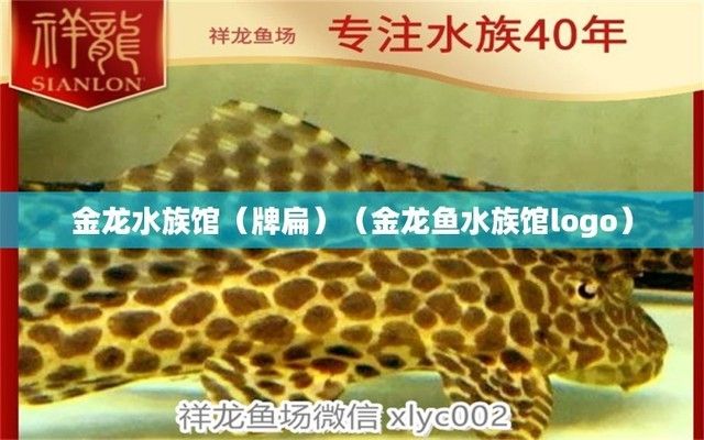 水族馆牌子图片（水族馆牌子的设计与制作）