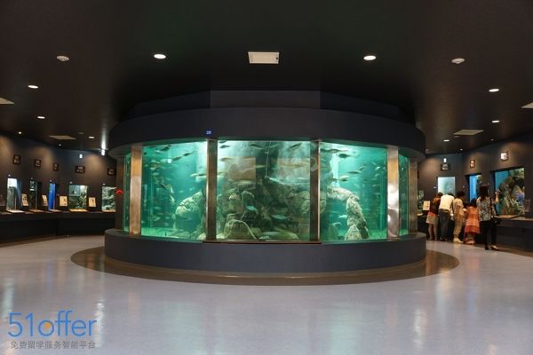 开家水族馆进货要求怎么写申请（开家水族馆进货申请） 水族馆百科（水族馆加盟） 第4张