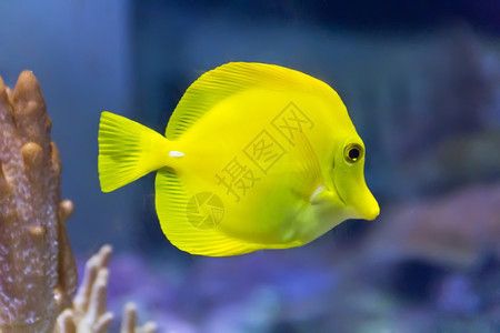 水族馆壁纸（水族馆动态壁纸） 水族馆百科（水族馆加盟） 第5张