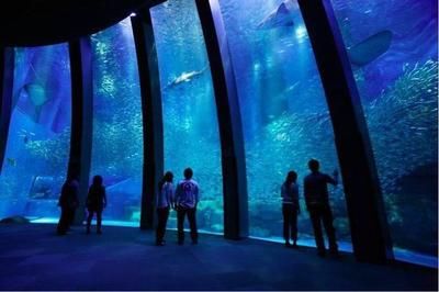 水族馆在哪里看动漫（《白沙的水族馆》水族馆观看动漫详情）