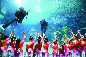 水族馆在哪里看动漫（《白沙的水族馆》水族馆观看动漫详情）