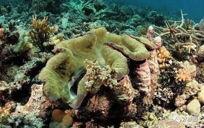 想开一家水族馆要多少钱（开一家水族馆需要多少钱） 水族馆百科（水族馆加盟） 第5张