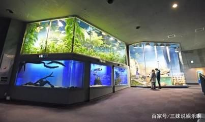 水族馆主营（水族馆主营详情）