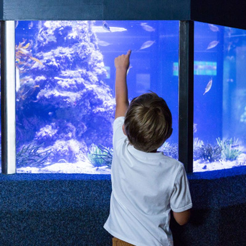 水族馆主营（水族馆主营详情）