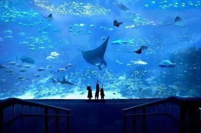 投资水族馆需要多少钱一个月（开一个水族馆需要多少费用）