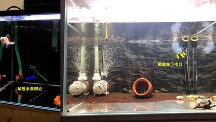 水族馆鱼缸加热系统安装（水族馆鱼缸加热棒安装方法） 水族馆百科（水族馆加盟） 第4张