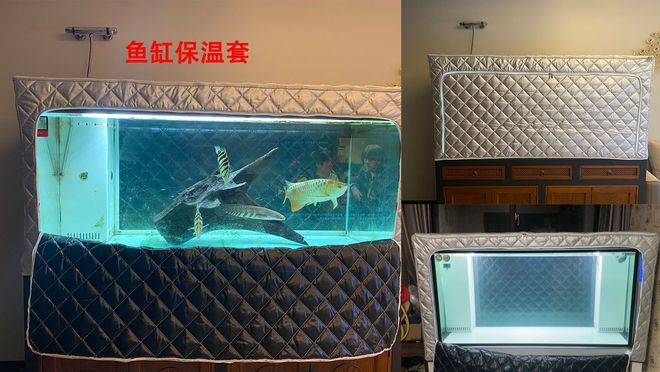 水族馆鱼缸加热系统安装（水族馆鱼缸加热棒安装方法）