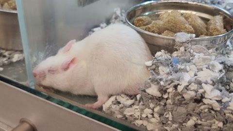 水族馆店铺里有什么动物吗视频（水族馆店铺经营秘诀水族馆店铺经营秘诀水族馆店铺经营秘诀）