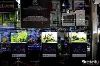 水族馆开店流程图怎么画好看（水族馆开店流程图）