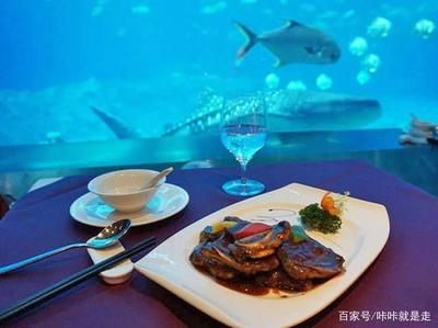 水族馆餐厅的菜品有哪些（上海海洋水族馆餐厅） 水族馆百科（水族馆加盟） 第2张