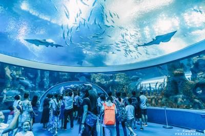 水族馆取名字怎么取（水族馆名字怎么取？）