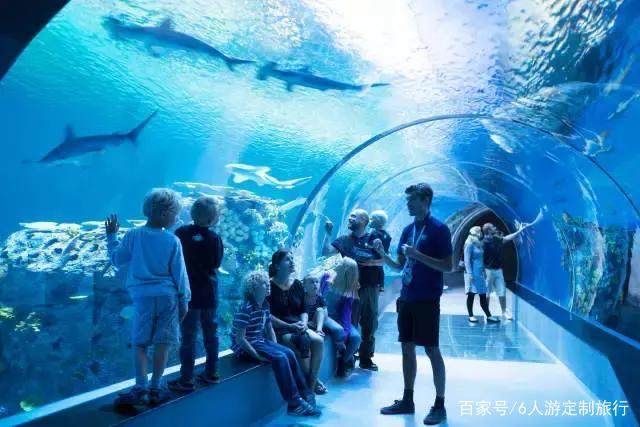 水族馆取名字怎么取（水族馆名字怎么取？）