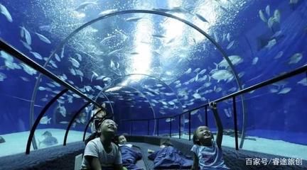 自制水族馆（如何自制水族馆）