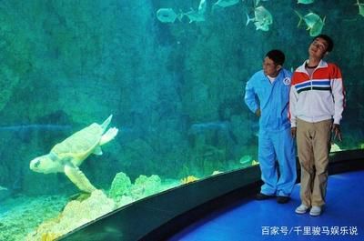 自制水族馆（如何自制水族馆）