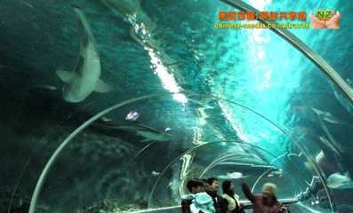 自制水族馆（如何自制水族馆） 水族馆百科（水族馆加盟） 第4张