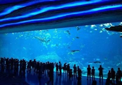 水族馆的名字大全有哪些（冲绳美丽海水族馆及其特点：圣地亚哥海洋世界冲绳美丽海水族馆）