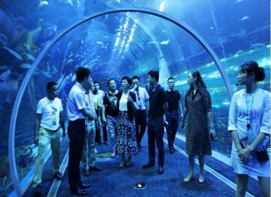 水族馆经营模式有哪些（水族馆品牌塑造成功案例：水族馆团队建设的关键因素）