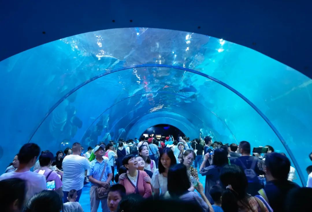 水族馆开馆时间（上海海洋水族馆特色展览介绍水族馆开馆时间表演时间表）