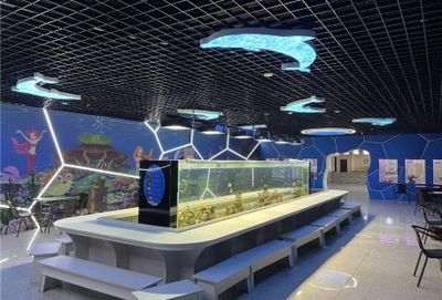 水族馆名称大全四个字（全球知名水族馆名称及其特点：水族馆名称及其特点）