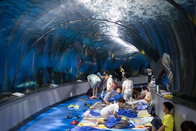 水族馆游玩（三亚亚特兰蒂斯水族馆）