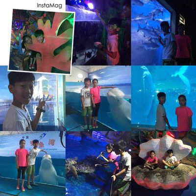 水族馆游玩（三亚亚特兰蒂斯水族馆） 水族馆百科（水族馆加盟） 第4张