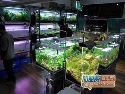 水族馆加盟条件及费用标准表格下载（水族馆加盟品牌排行榜）