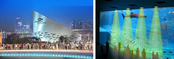 水族馆建设方案（关于水族馆建设方案的详情）