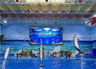 水族馆建设方案（关于水族馆建设方案的详情）