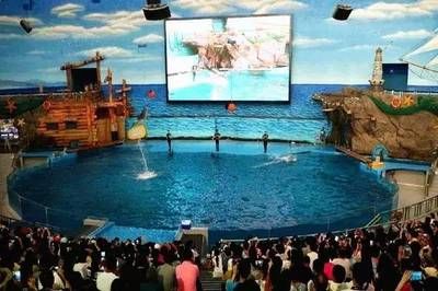 水族馆建设方案（关于水族馆建设方案的详情）