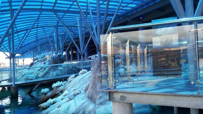 水族馆建设方案（关于水族馆建设方案的详情） 水族馆百科（水族馆加盟） 第4张