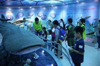 水族馆里100种动物名称和特点（水族馆的动物名称及其特点）