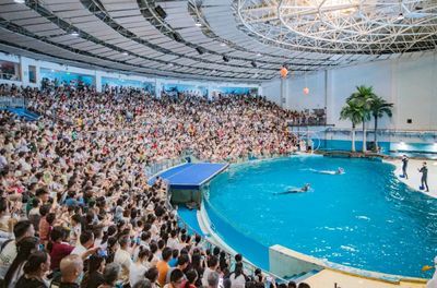 开水族馆需要办什么证件吗要多少钱（开水族馆需要办理什么证件）