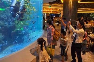 现在水族馆生意怎么样啊（上海海洋水族馆） 水族馆百科（水族馆加盟） 第5张