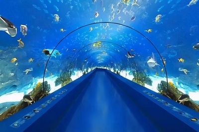 水族馆发展现状（中国水族馆设计主题差异化策略） 水族馆百科（水族馆加盟） 第4张