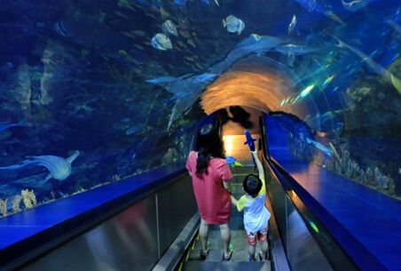 水族馆店铺（水族馆店铺介绍） 水族馆百科（水族馆加盟） 第2张