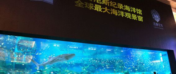 最大水族馆（世界上最大的水族馆——上海海洋水族馆） 水族馆百科（水族馆加盟） 第2张