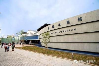 建一个水族馆多少钱人民币啊（建一个水族馆的成本取决于多个因素） 水族馆百科（水族馆加盟） 第5张