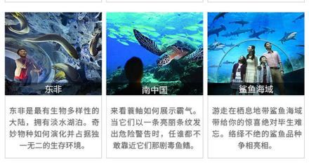 水族馆起什么名字霸气点（水族馆名字应该体现出其独特的魅力和特色，同时要易于记忆、发音清晰） 水族馆百科（水族馆加盟） 第3张