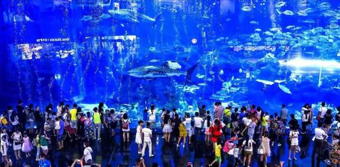 水族馆行业政策支持情况（水族馆行业发展趋势） 水族馆百科（水族馆加盟） 第4张