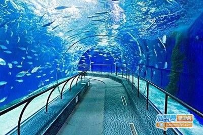 品牌水族馆加盟排行榜 水族馆百科（水族馆加盟） 第1张