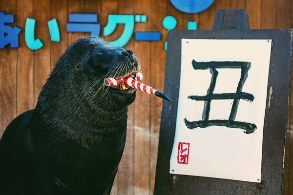 水族馆书法主题有哪些（关于“水族馆书法主题”的具体详情） 水族馆百科（水族馆加盟） 第3张