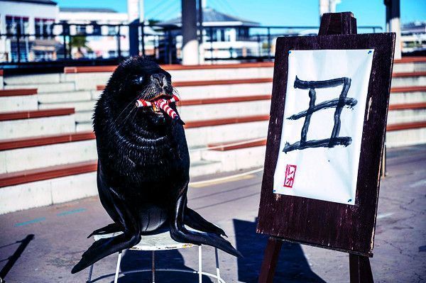 水族馆书法主题有哪些（关于“水族馆书法主题”的具体详情） 水族馆百科（水族馆加盟） 第4张