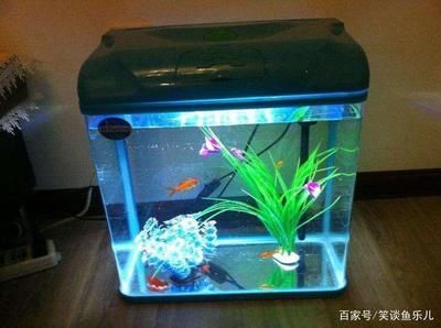 水族馆鱼缸过滤系统图（水族馆鱼缸过滤系统图是用于展示和维护水族馆内鱼类生活所需的水质循环过程） 水族馆百科（水族馆加盟） 第2张