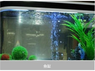 水族馆鱼缸过滤系统图（水族馆鱼缸过滤系统图是用于展示和维护水族馆内鱼类生活所需的水质循环过程） 水族馆百科（水族馆加盟） 第5张