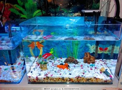 水族馆鱼缸过滤系统图（水族馆鱼缸过滤系统图是用于展示和维护水族馆内鱼类生活所需的水质循环过程） 水族馆百科（水族馆加盟） 第3张