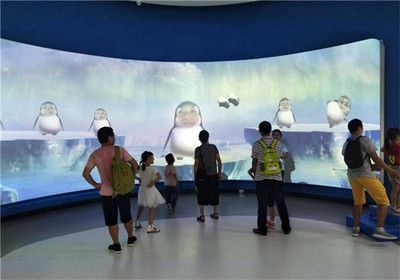 祥龙水族馆VR体验特色介绍（祥龙水族馆vr体验） 水族馆百科（水族馆加盟） 第3张