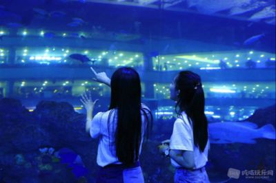 水族馆行业市场竞争现状（中国水族馆行业的市场竞争日益激烈，市场竞争日益激烈） 水族馆百科（水族馆加盟） 第5张