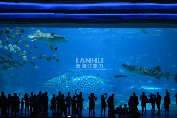 水族馆餐厅造价标准是多少（水族馆餐厅设计案例分析,水族箱建造成本估算方法） 水族馆百科（水族馆加盟） 第1张