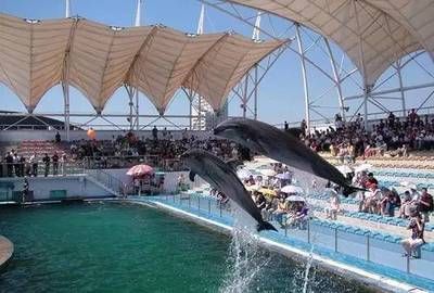 北戴河有水族馆吗（北戴河新澳海底世界游玩攻略） 水族馆百科（水族馆加盟） 第4张