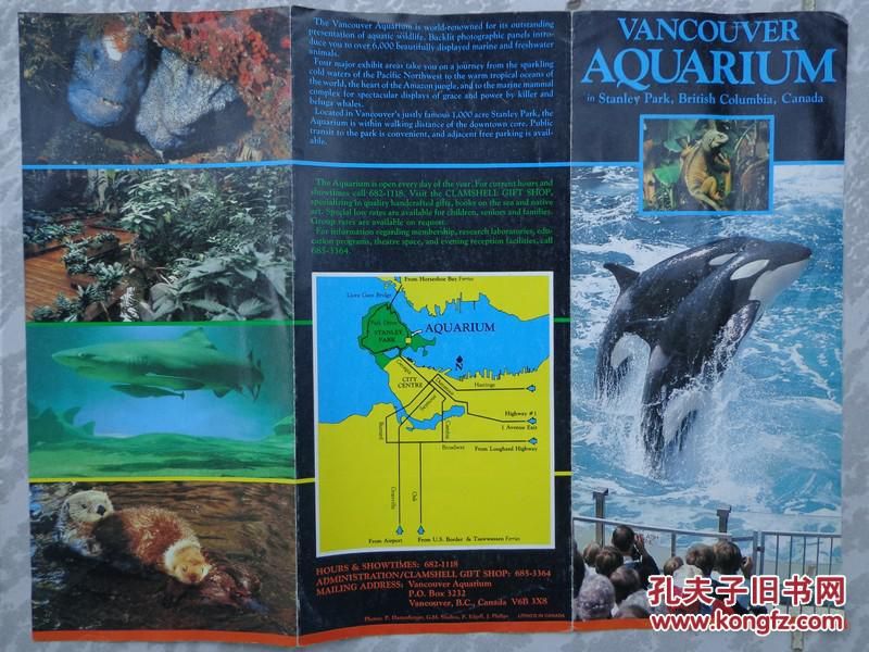 水族馆英文怎么说（aquarium水族馆） 水族馆百科（水族馆加盟） 第4张